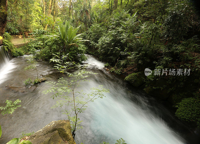 Uruapan, cupatitzi的barranca。